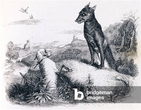  Le Loup et L’Agneau : Un conte du XIVe siècle qui vous fera réfléchir !